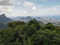 Rio de Janeiro Tijuca-Wald