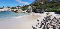 Stadtrundfahrt in Kapstadt - Boulders Beach