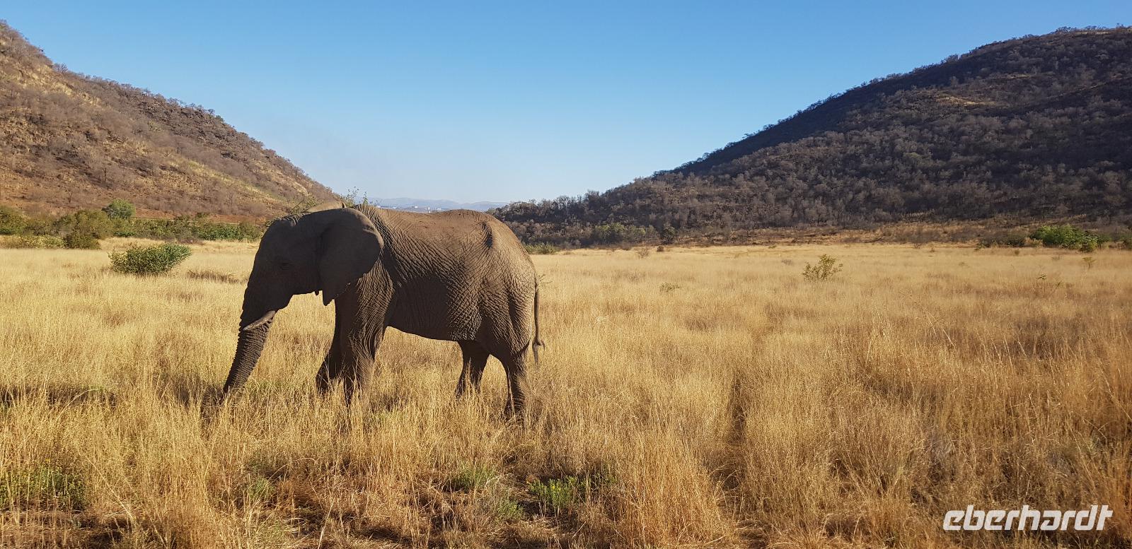 Bakubung Lodge im Pilanesberg Nationalpark