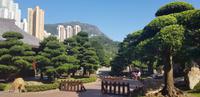 Stadtrundfahrt in Hong Kong - Nan Lian Garten und Chi Lin Nonnenkloster