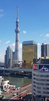 Blick auf den Skytree in Tokio