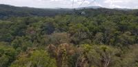 Gondelbahnfahrt - Cairns nach Kuranda