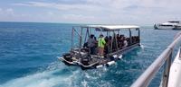 Schnorchel-Ausflug ins Great Barrier Reef - Michaelmas cay