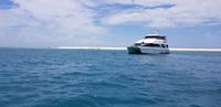 Schnorchel-Ausflug ins Great Barrier Reef - Michaelmas cay