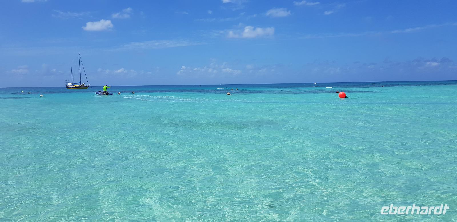 Schnorchel-Ausflug ins Great Barrier Reef - Michaelmas cay