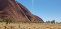 Rundgang am Ayers Rock (Uluru)