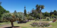 Stadtrundgang durch Sydney - Botanischer Garten