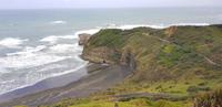 Westküste - Spaziergang am Muriwai Beach