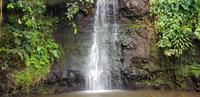 Inselrundfahrt auf Tahiti - Vaipahi Tropical Garden und Wasserfall