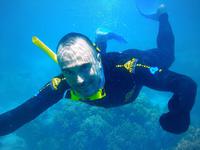 Katamaran-Tour durch das Great Barrier Reef