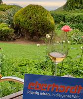 Weinanbau in Stellenbosch