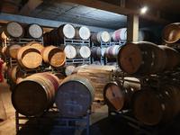 Weinanbau in Stellenbosch