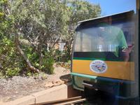 Das Kap der Guten Hoffnung an die Südspitze Afrikas