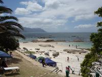 Das Kap der Guten Hoffnung an die Südspitze Afrikas