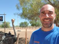 Straußenfarm in Oudtshoorn