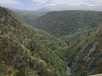 Auf dem Weg zum Tsitsikamma-Nationalpark