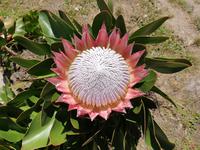 Tsitsikamma-Nationalpark