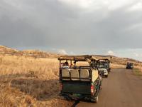 Pirschfahrt im Pilanesberg-Nationalpark, Südafrika