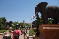 Sun City, das berühmt-berüchtigte Spielerparadies