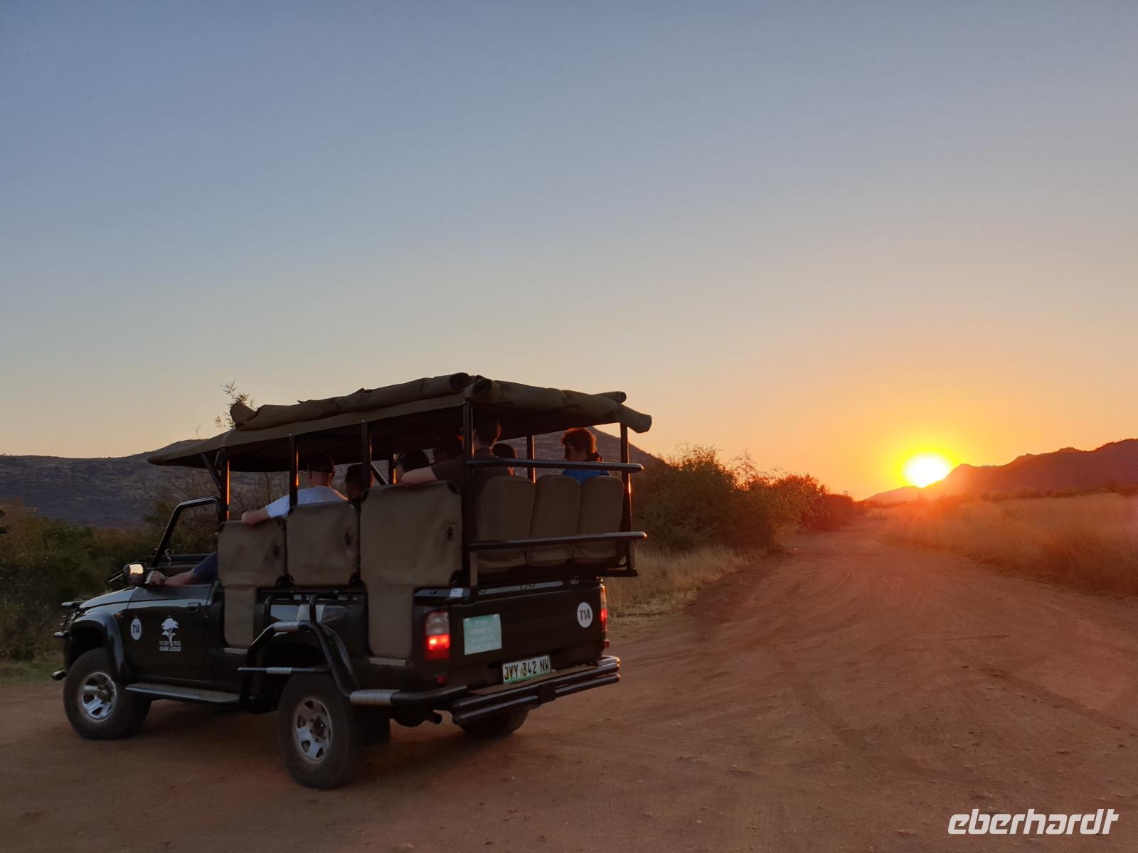 Pirschfahrt im Pilanesberg-Nationalpark, Südafrika