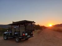 Pirschfahrt im Pilanesberg-Nationalpark, Südafrika