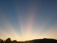 Pirschfahrt im Pilanesberg-Nationalpark, Südafrika