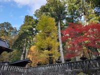 Nikko-Nationalpark in Japan