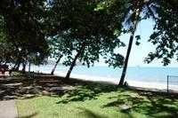 Palm Cove