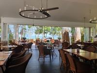 Palm Cove, Cairns, Australien