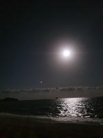 Palm Cove, Cairns, Australien
