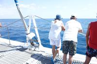 Katamaran-Tour durch das Great Barrier Reef