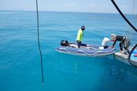 Katamaran-Tour durch das Great Barrier Reef