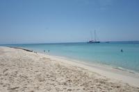 Katamaran-Tour durch das Great Barrier Reef