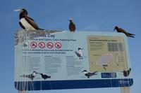 Katamaran-Tour durch das Great Barrier Reef