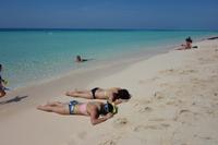 Katamaran-Tour durch das Great Barrier Reef