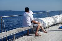 Katamaran-Tour durch das Great Barrier Reef
