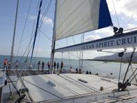 Katamaran-Tour durch das Great Barrier Reef
