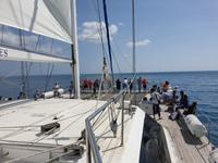 Katamaran-Tour durch das Great Barrier Reef