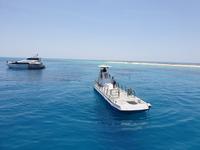 Katamaran-Tour durch das Great Barrier Reef