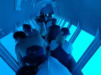 Katamaran-Tour durch das Great Barrier Reef