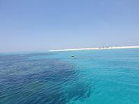 Katamaran-Tour durch das Great Barrier Reef