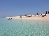 Katamaran-Tour durch das Great Barrier Reef