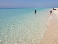 Katamaran-Tour durch das Great Barrier Reef