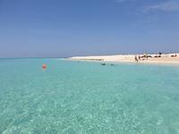 Katamaran-Tour durch das Great Barrier Reef