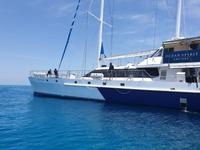 Katamaran-Tour durch das Great Barrier Reef