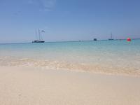 Katamaran-Tour durch das Great Barrier Reef