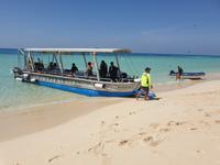 Katamaran-Tour durch das Great Barrier Reef