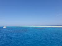 Katamaran-Tour durch das Great Barrier Reef