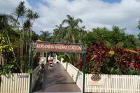 Mit dem historischen Eisenbahn in Kuranda durch den Regenwald wieder zurück nach Cairns
