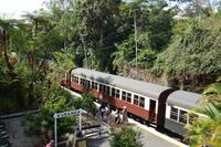 Mit dem historischen Eisenbahn in Kuranda durch den Regenwald wieder zurück nach Cairns